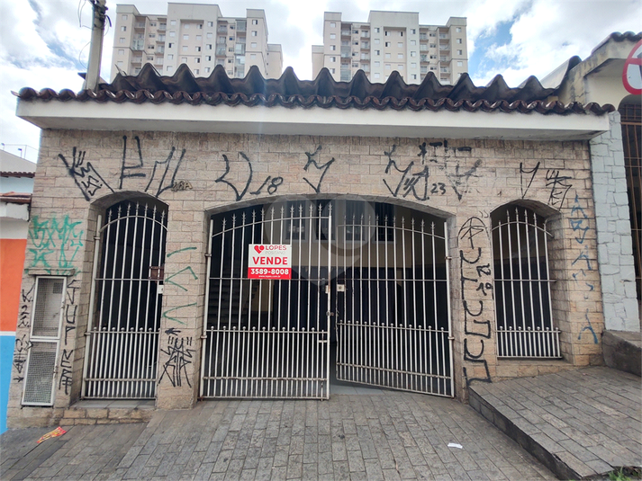 Foto REO1124676