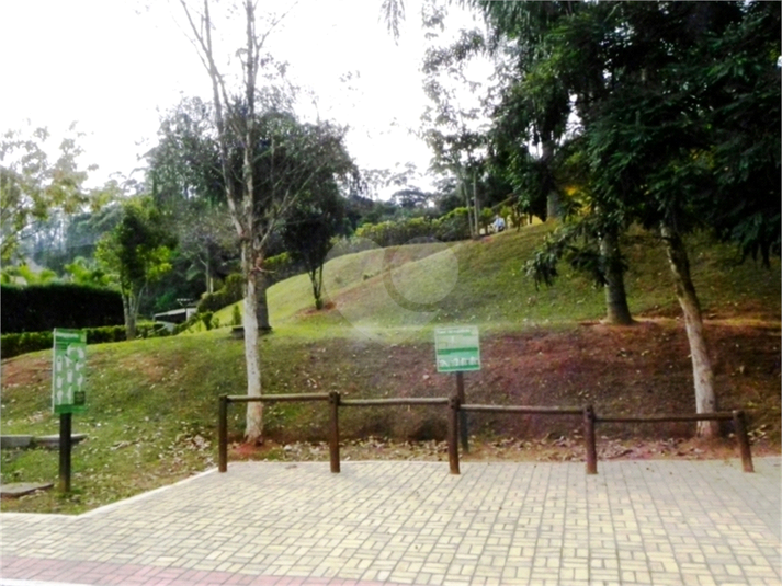 Foto REO1124687