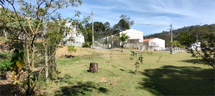 Foto REO1124688