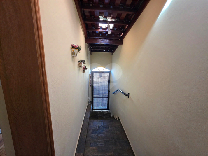 Foto REO1124696