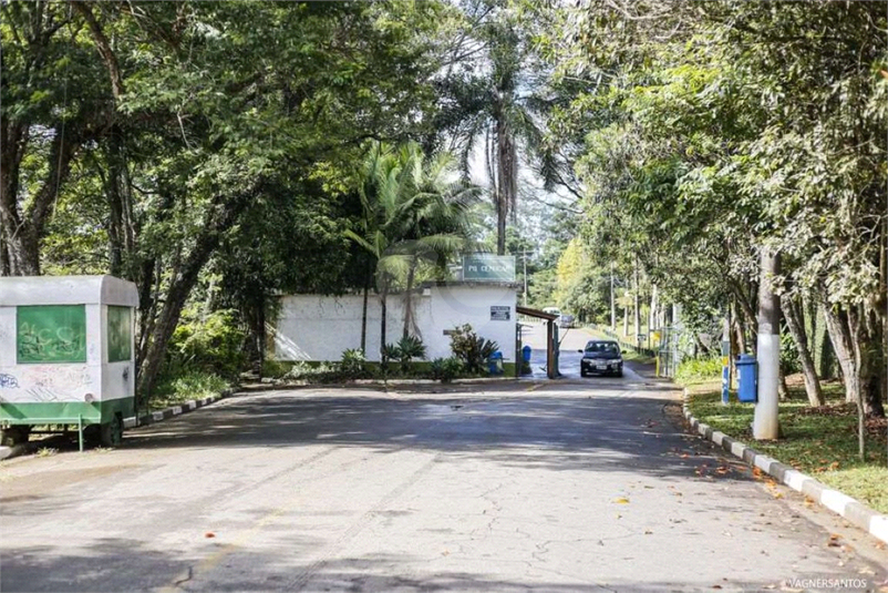 Foto REO1124708