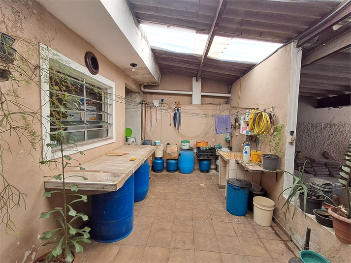 Foto REO1124723