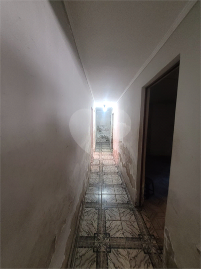 Foto REO1124734
