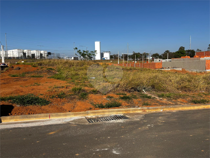 Foto REO1124736