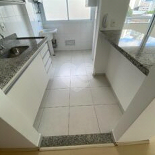 Foto REO1124741