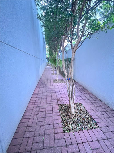 Foto REO1124744