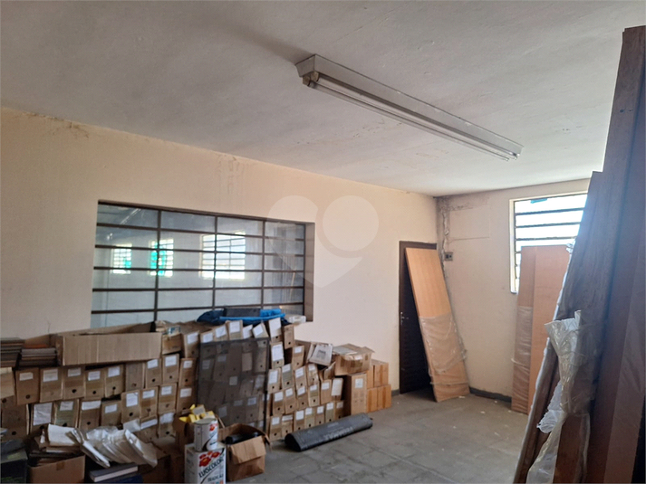 Foto REO1124749