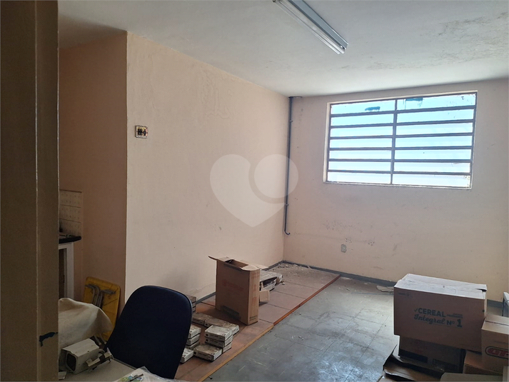 Foto REO1124749