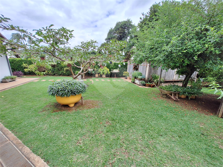 Foto REO1124771