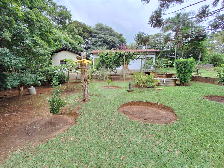 Foto REO1124771