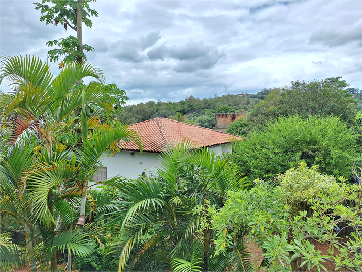 Foto REO1124771