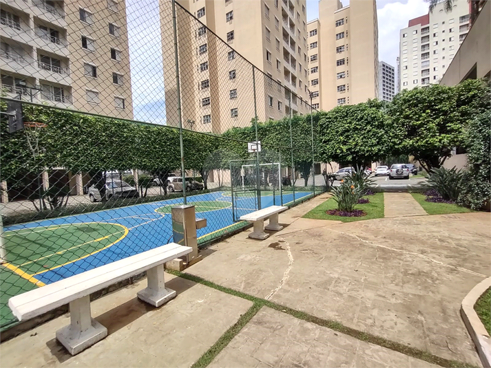 Foto REO1124772