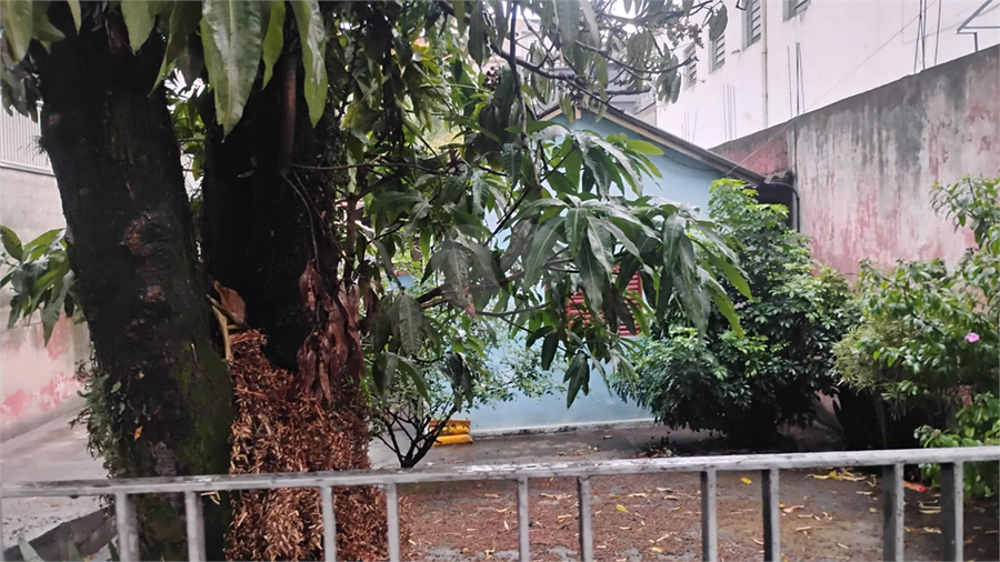 Foto REO1124775