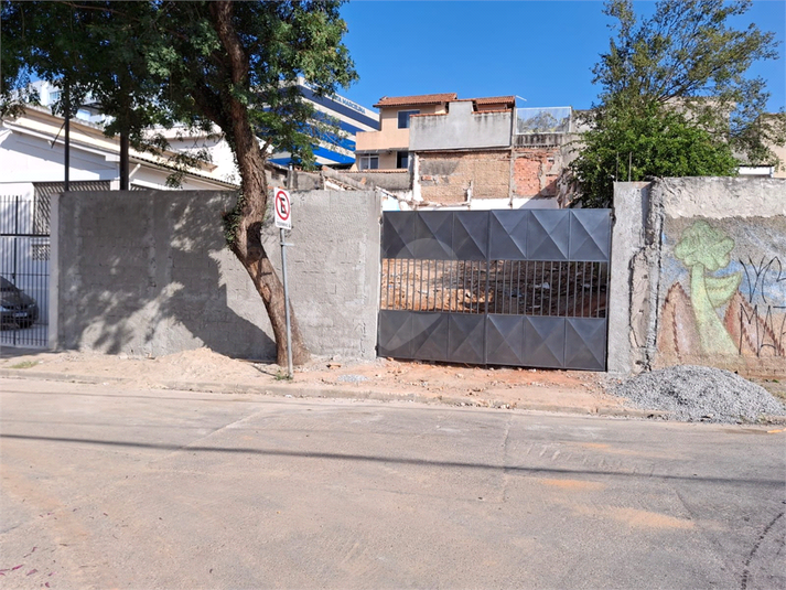 Foto REO1124781