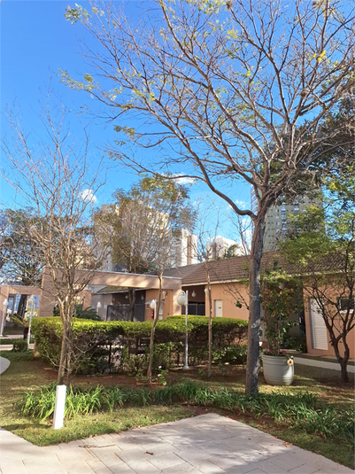 Foto REO1124782