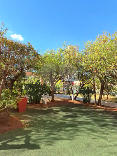 Foto REO1124782