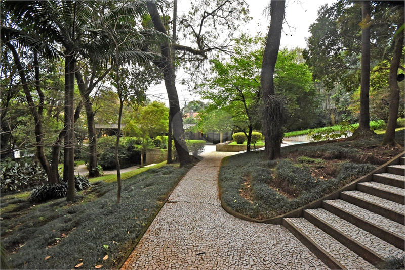 Foto REO1124786