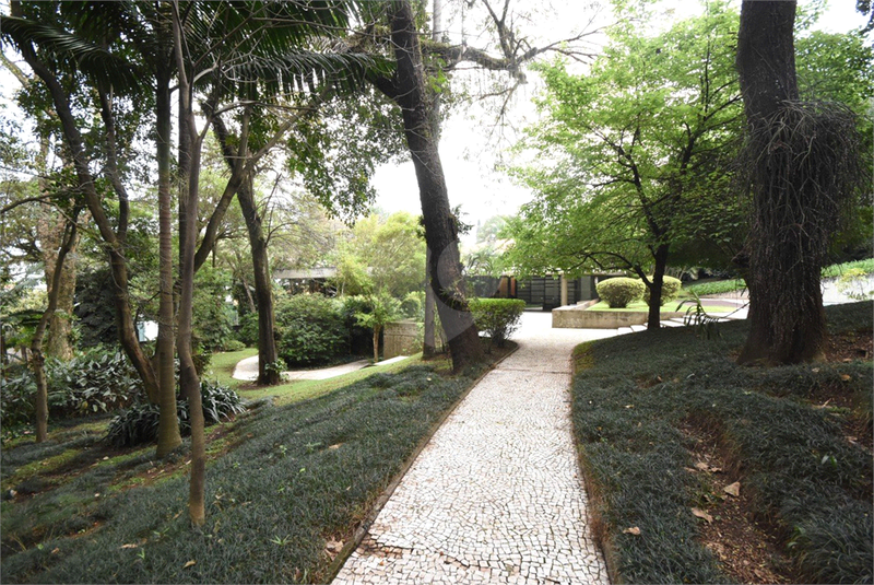 Foto REO1124786