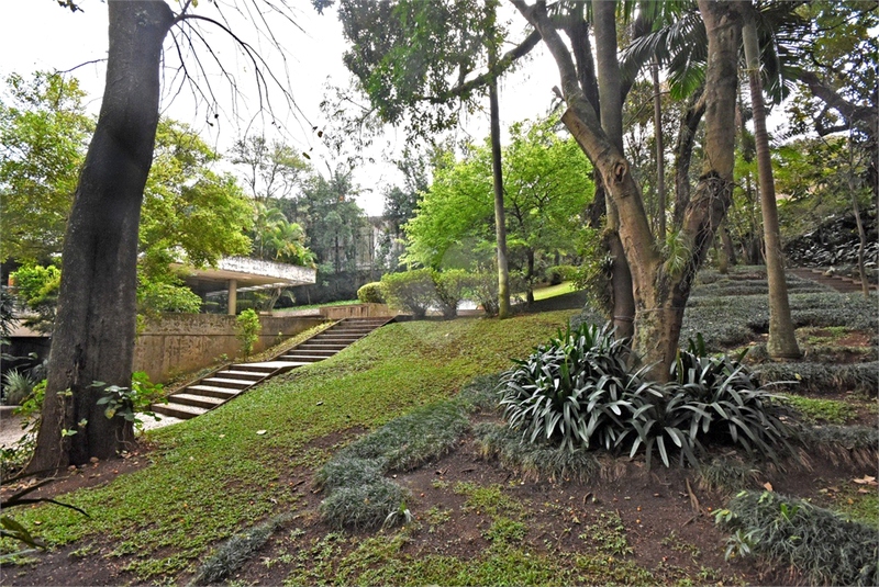 Foto REO1124786