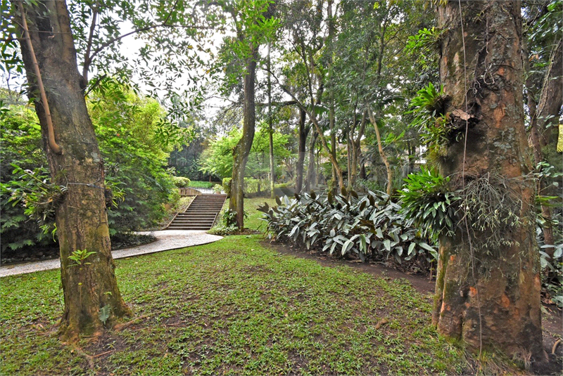Foto REO1124786
