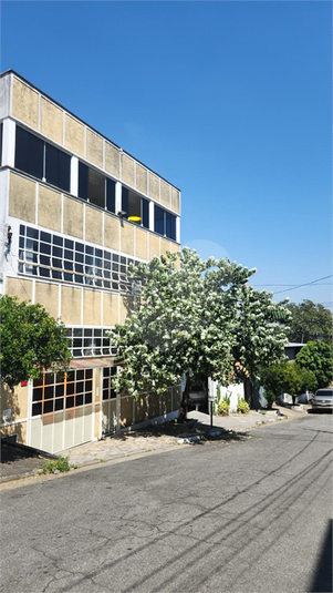 Foto REO1124795