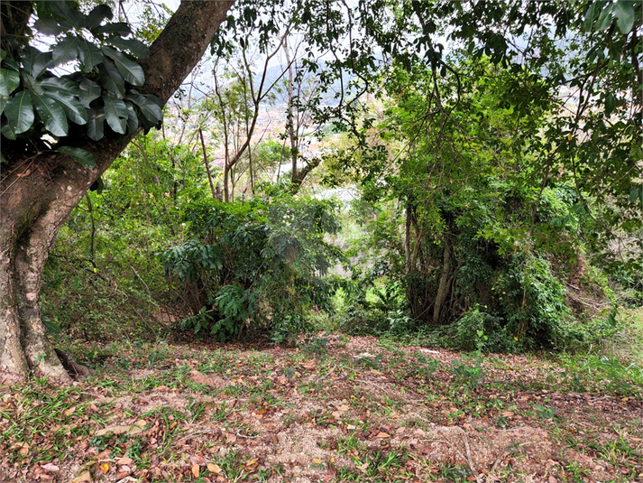 Foto REO1124807