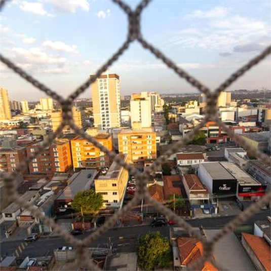 Foto REO1124815
