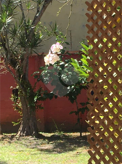 Foto REO1124820