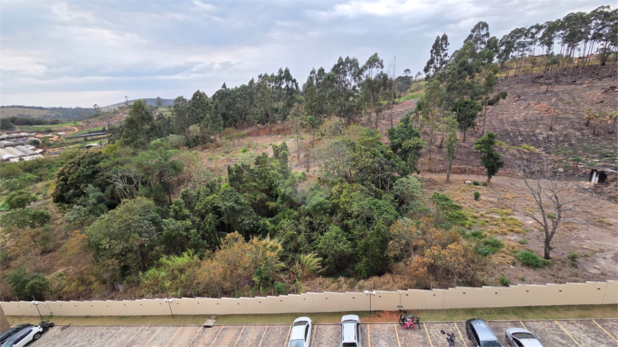 Foto REO1124830