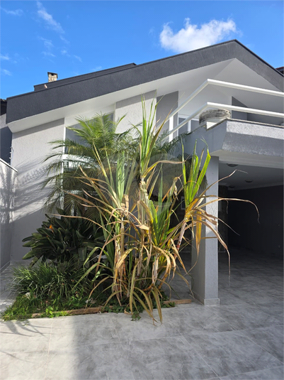 Foto REO1124850