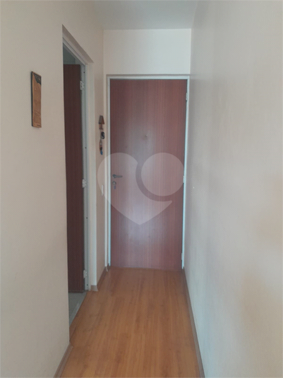 Foto REO1124855