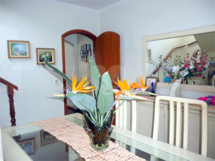 Foto REO1124857