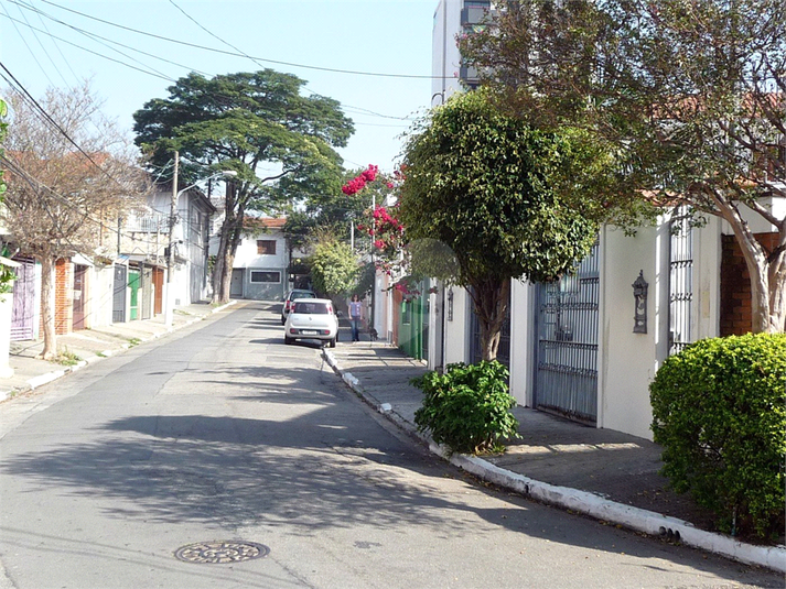 Foto REO1124857