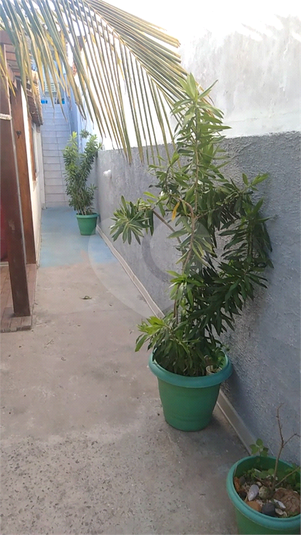 Foto REO1124866