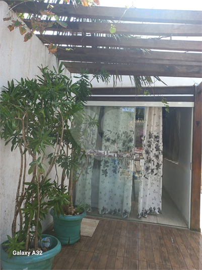Foto REO1124866