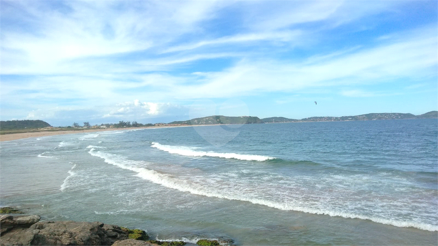 Foto REO1124866
