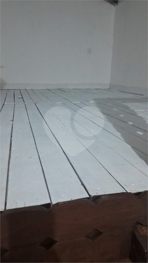 Foto REO1124866