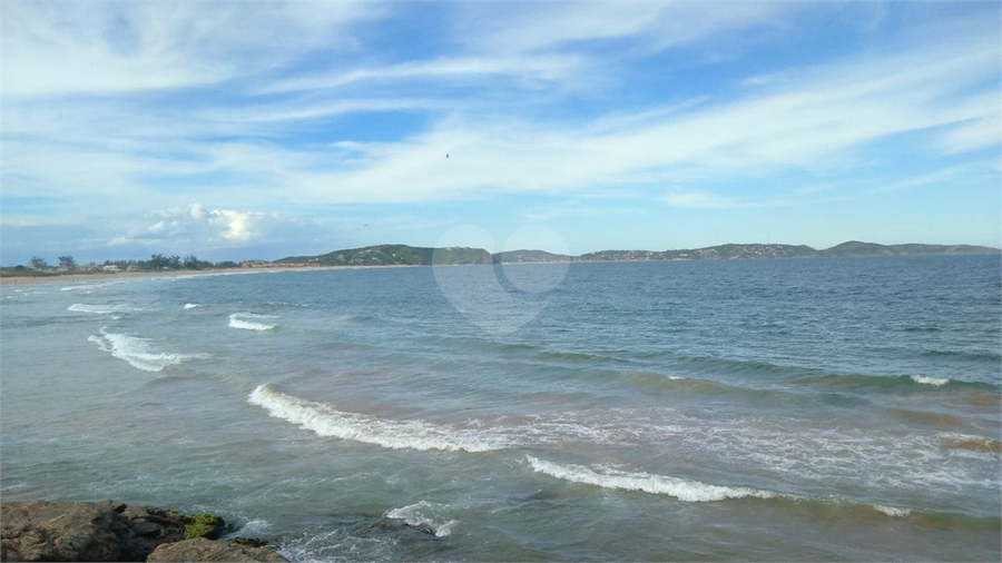 Foto REO1124866