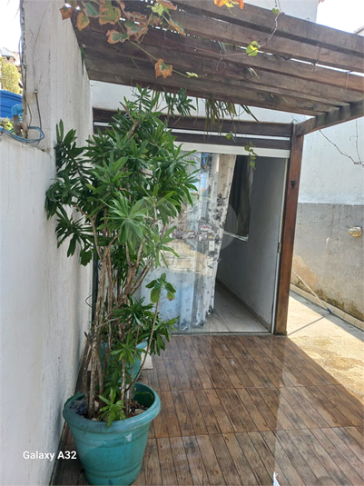 Foto REO1124866