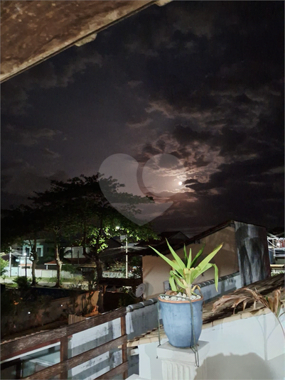 Foto REO1124866