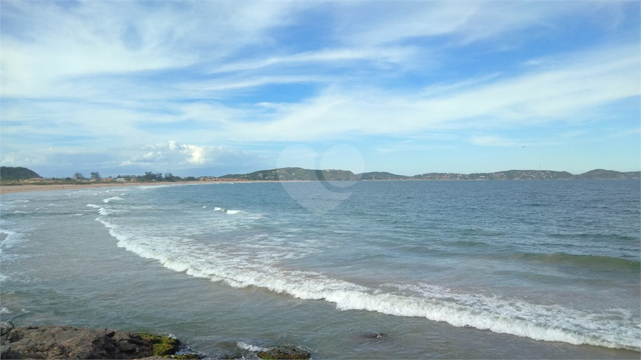 Foto REO1124866