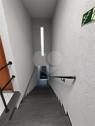 Foto REO1124867
