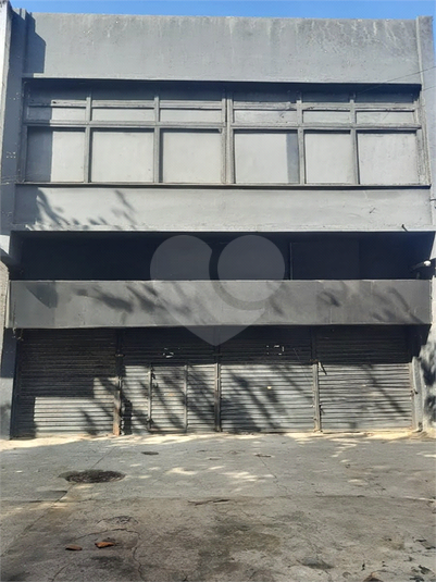 Foto REO1124875