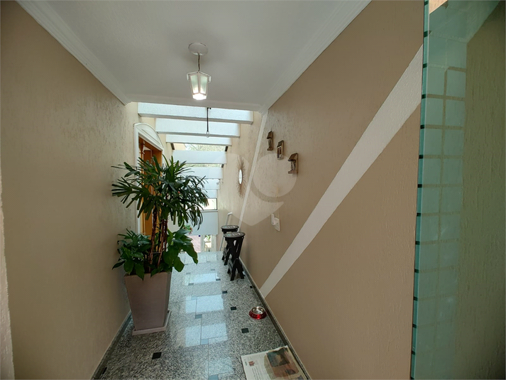 Foto REO1124881