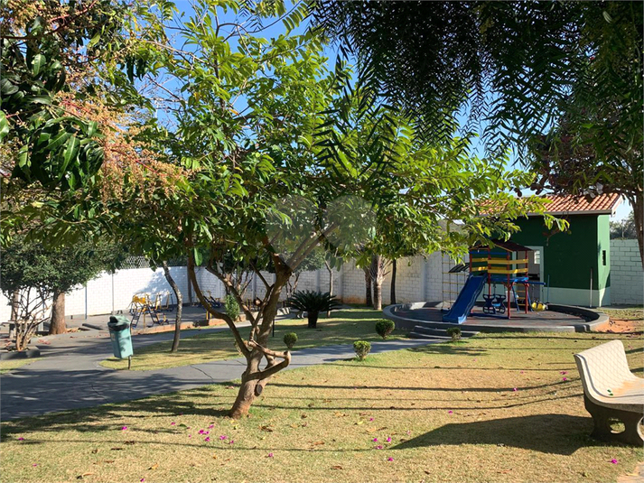 Foto REO1124929