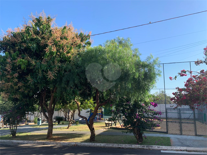 Foto REO1124929