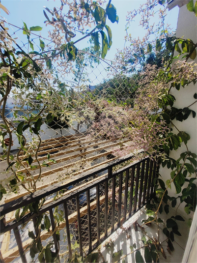 Foto REO1124936