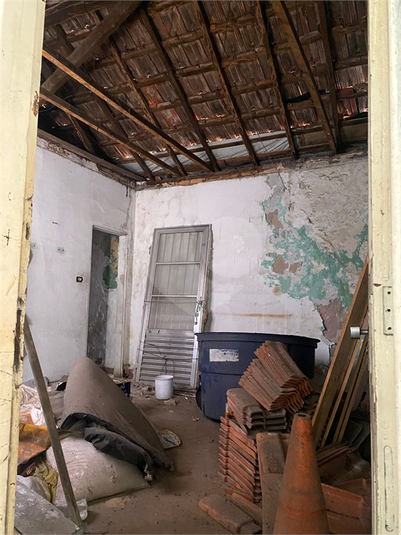 Foto REO1124941