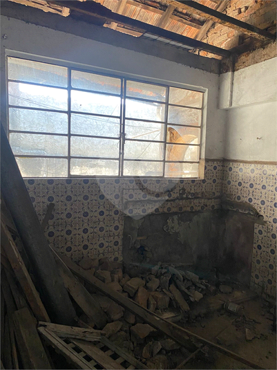 Foto REO1124941