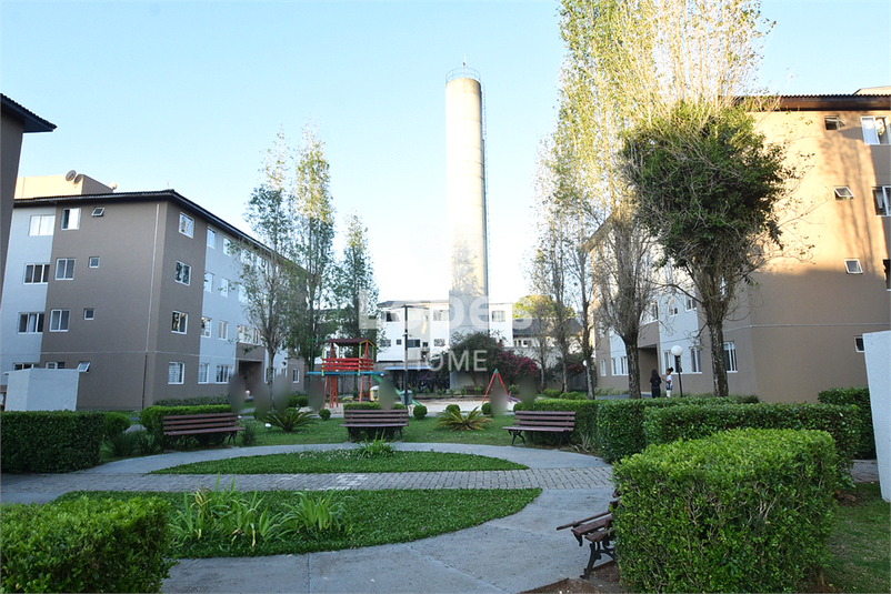 Foto REO1124945